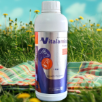 Vitalamino Fort vet 1 L [Dummy Product for Testing]